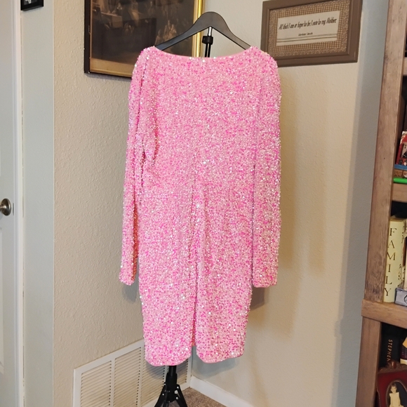 Southern Fried Chics "Viva La Dolly" Women's Size XXL Pink Sequin Shift Dress - Picture 4 of 8